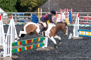 Class 5 - Fences not above 2'6